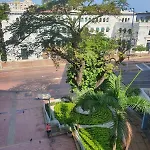 Comfortable Apartment In The Historic Center!
